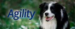 Agility Perros Derma Control - comprar online