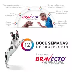 Pipeta masticable "Bravecto"