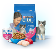 Cat Chow Gatos Cachorros en internet