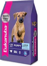 Eukanuba Cach. Raza Grande