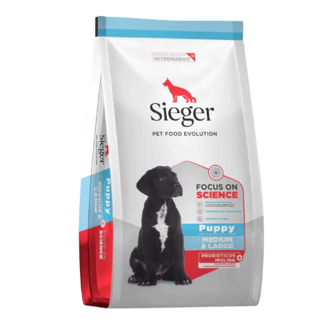 Sieger Perros Cachorros