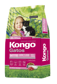 Kongo Gatos Cachorros