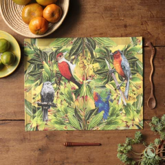 individual aves de Colombia