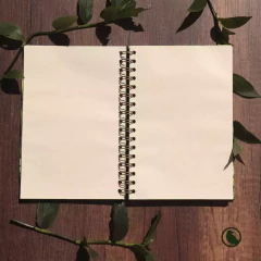 Cuaderno argollado papel liso Colibrí Zafiro en internet
