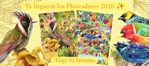 Carrusel Solar Arts & Crafts  | Diseño, regalos | Inspirados en Colombia