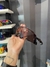 KT LPD LENTES ROM PRZM + BRINDE SURPRESA