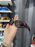 PLT LPD LENTES CAFÉ + BRINDE SURPRESA - comprar online
