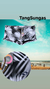 Sunga Estampada - Folhas Preto