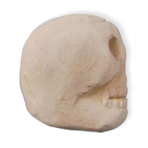 Mini calavera decorativa