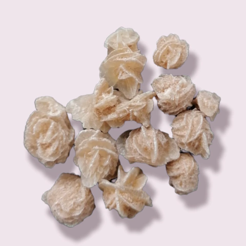 Rosas del Desierto