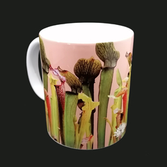 Taza modelo Sarracenias - comprar en línea