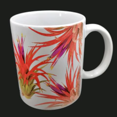 Taza modelo Tillandsia ionantha - comprar en línea
