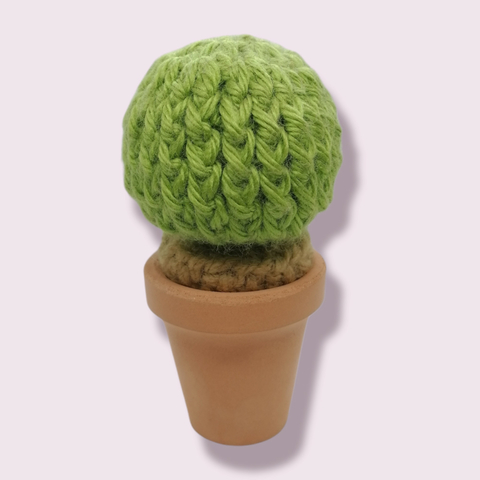 Cactus Crochet