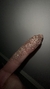 Glitter - Viviana Andrade | Coleção Maquiadores do Brasil na internet