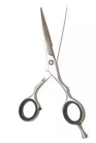 TIJERA 5,5 EURO STIL EVOLUT LINE COD 07101