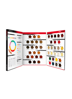 CARTA DE COLORES COLORMASTER FIDELITE