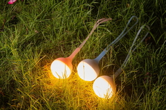 OBULB + OSLING COMBO - VERDE MUSGO - comprar online