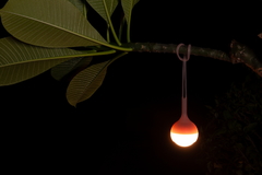 Imagen de OBULB + OSLING COMBO - ROJO VINO