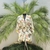 Quimono Pintura Carioca - comprar online