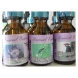 Kit Esencias Chamánicas ANIMALES BEBES (x 6 unidades) - comprar online