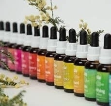 BUSH SET 17 COMBINADAS