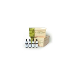 Kit 30 flores de Bush concentradas (oferta a elección)