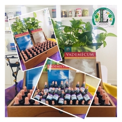 DESTACADO # 6: OFERTA: Armá tu kit de 40 Esencias Vibracionales a elección (Caja especial y Vademecum de 2 tomos)