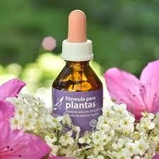 Elixires Florales Sirio (Esencia Individual x 15 ml.) - comprar online
