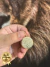 PINGENTE SÃO BENTO G EM MOEDA ANTIGA COM 10 CAMADAS DE OURO 18K - comprar online