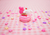 Macaron Cinnamoroll & My Melody (Desk Friend) - comprar online