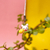 Silly Pets (pingente de celular) - comprar online