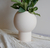 FLORERO VERA - tienda online
