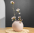 FLORERO GLEN