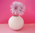 FLORERO GLEN