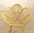 Silla Jaipur