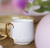 TAZA ENCHANTED