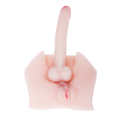 Male Cock & Vagina