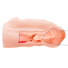 MASTURBADOR VAGINA - comprar online