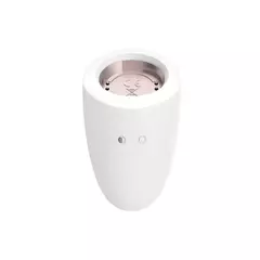 Satisfyer Marvelous Four en internet