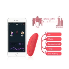 Vibrador bragas a distancia - comprar online