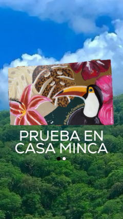 PRUEBA EN CASA MINCA - comprar online