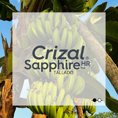CRIZAL SAPPHIRE HR TALLADO