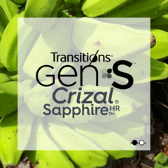 TRANSITIONS GEN S CON CRIZAL SAPPHIRE HR