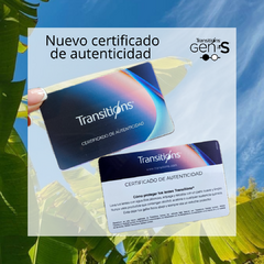 TRANSITIONS GEN S POLY CON AR CLARITY - GAFAS MINCA