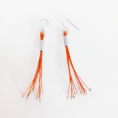 Aros Maia en internet