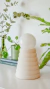 Velador ROLLITOS - buy online
