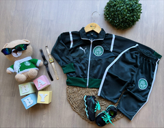 • conjunto moletom palmeiras - comprar online