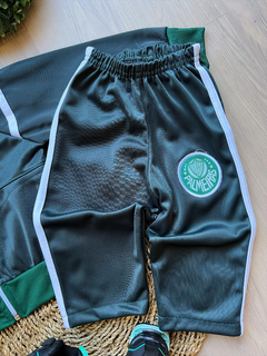 Imagem do • conjunto moletom palmeiras