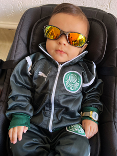 • conjunto moletom palmeiras