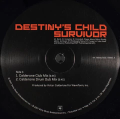 Destiny's Child – Survivor na internet